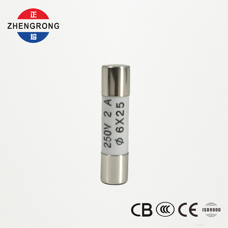 Summus euismod 6x25mm R057 2A Fuses pro mole emptores