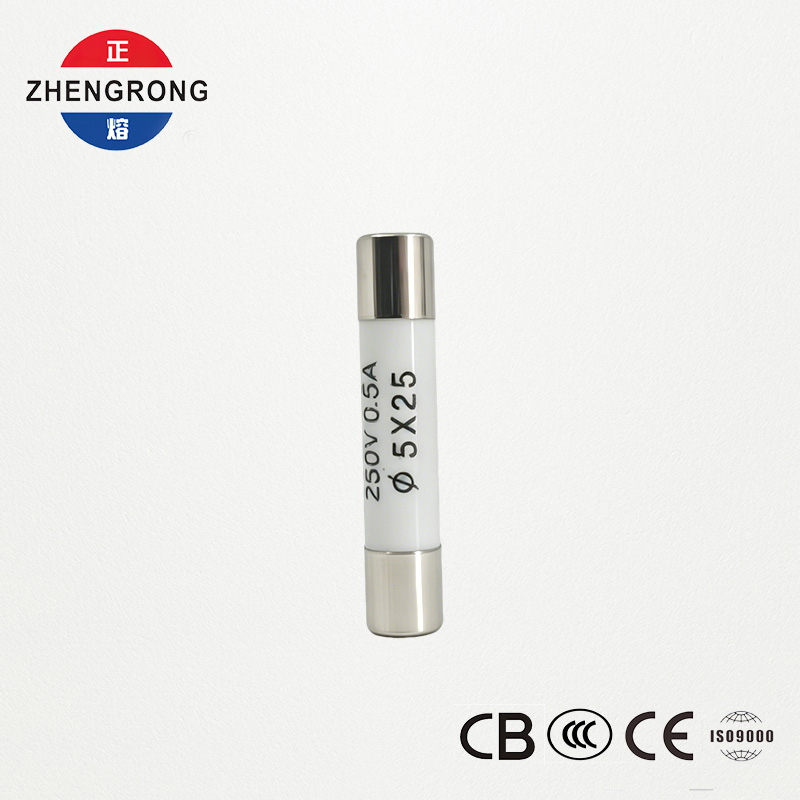 High-Quality 5x25mm R055 0.5A Fuses pro Emptoribus Lupum