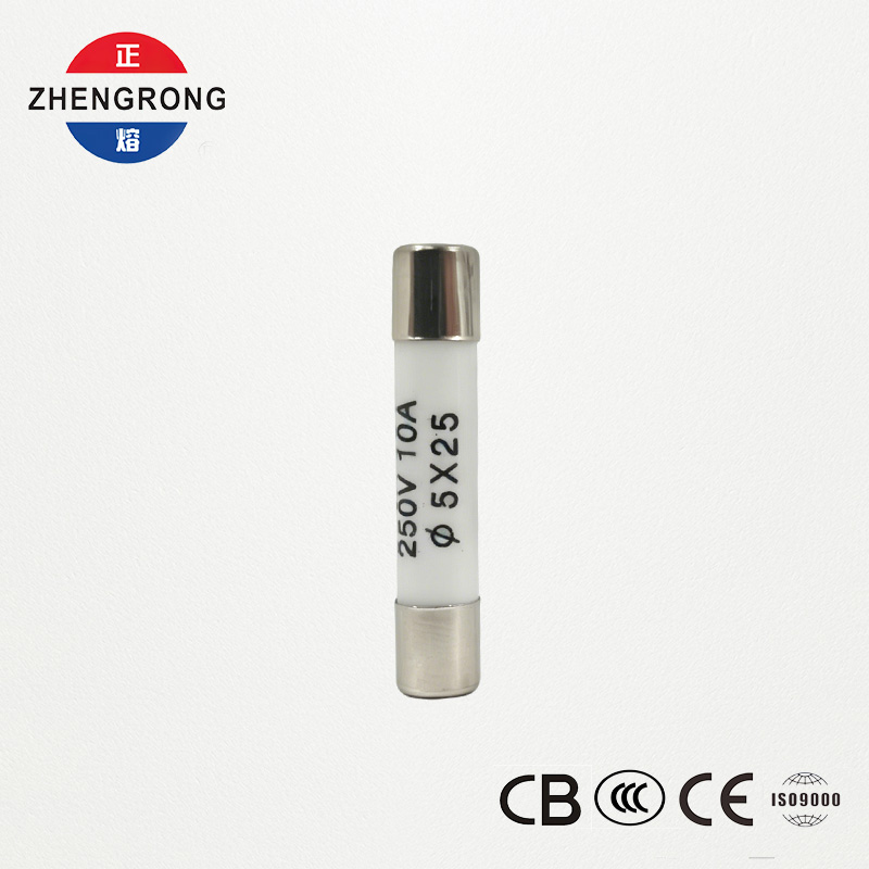 High-Quality 5x25mm R055 10A Fuses for Tutus Emptores