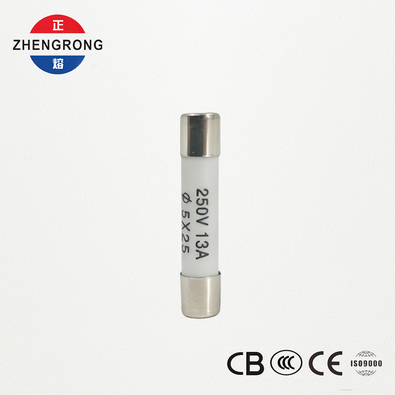 High-Quality 5x25mm R055 13A Fuses for Tutus Emptores