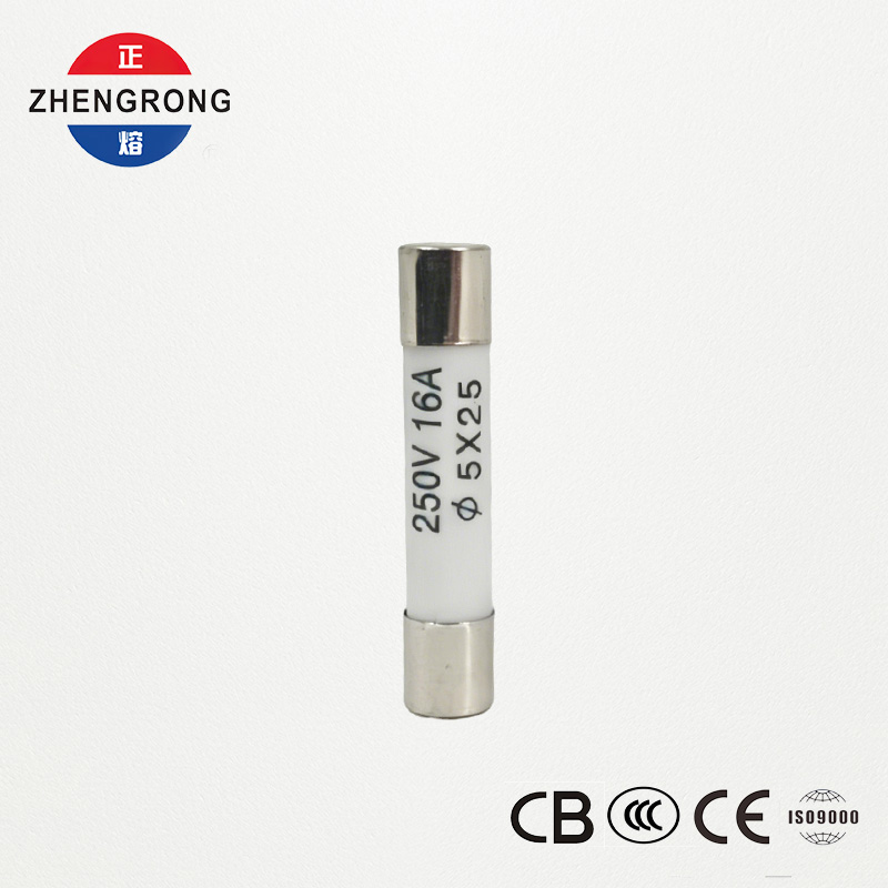 High-Quality 5x25mm R055 16A Fuses for Tutus Emptores