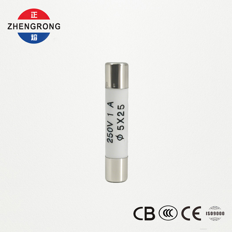 High-Quality 5x25mm R055 1A Fuses for Tutus Emptores