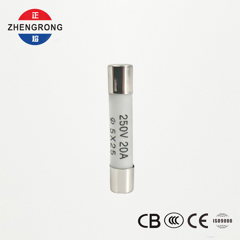 High-Quality 5x25mm R055 20A Fuses for Tutus Emptores