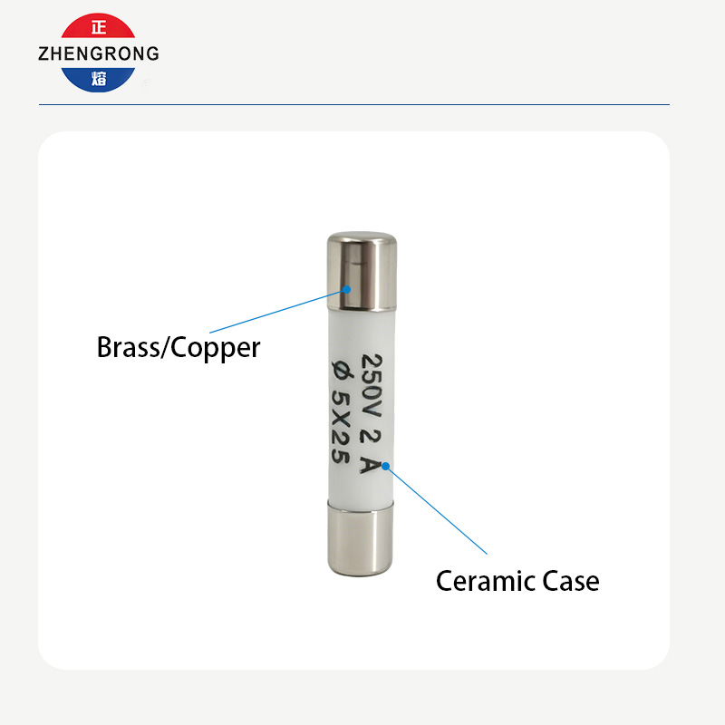 High-Quality 5x25mm R055 2A Fuses for Tutus Emptores