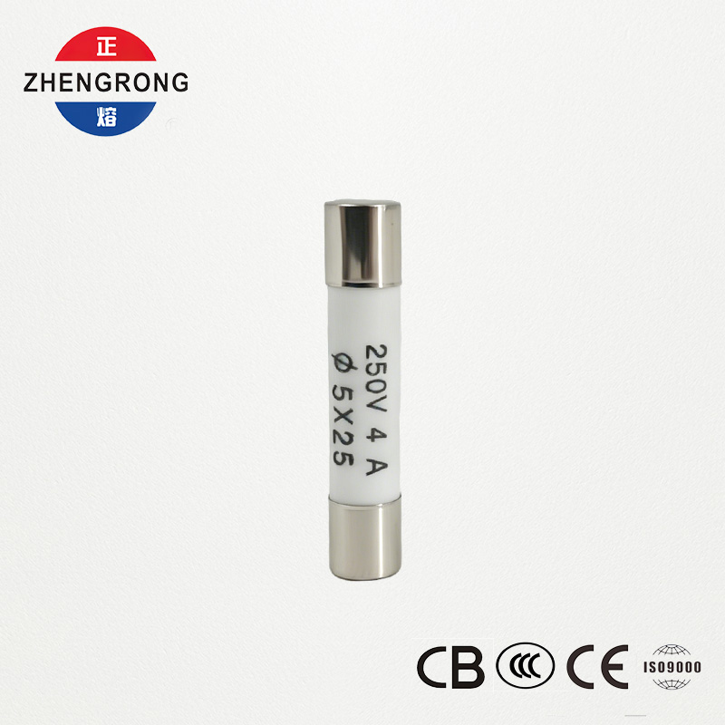High-Quality 5x25mm R055 4A Fuses for Tutus Emptores