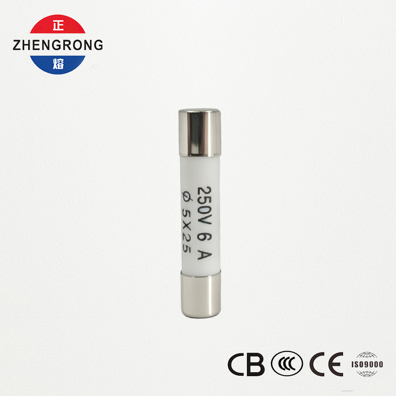 High-Quality 5x25mm R055 6A Fuses for Tutus Emptores