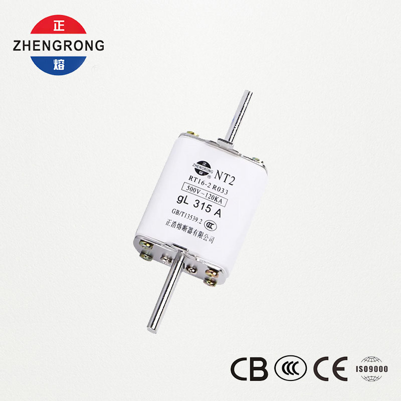 NT2 315A Fuse Link | RT16-2 500V gL Ceramic Fuse