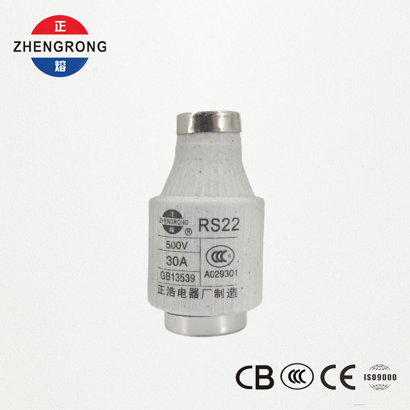 RS22 30A 500V Fast-Acting Screw-Type Fuse | Semiconductor Protection